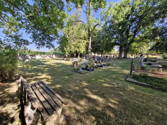 Friedhof Urnengräber