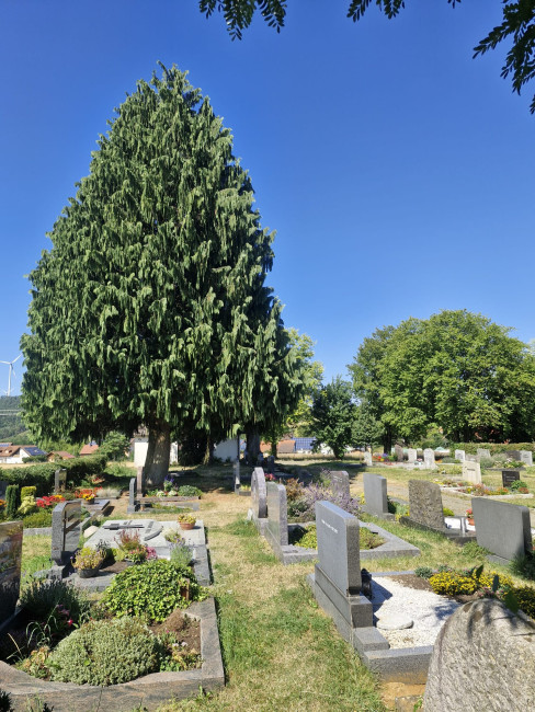 Friedhof Gärtenroth 2026 Grabreihen