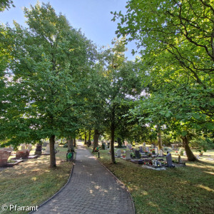 Friedhof Hauptweg von der Bank aus
